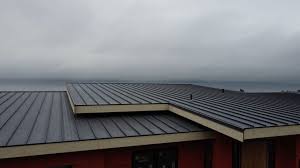 Roof Coating Services in Bridgman, MI